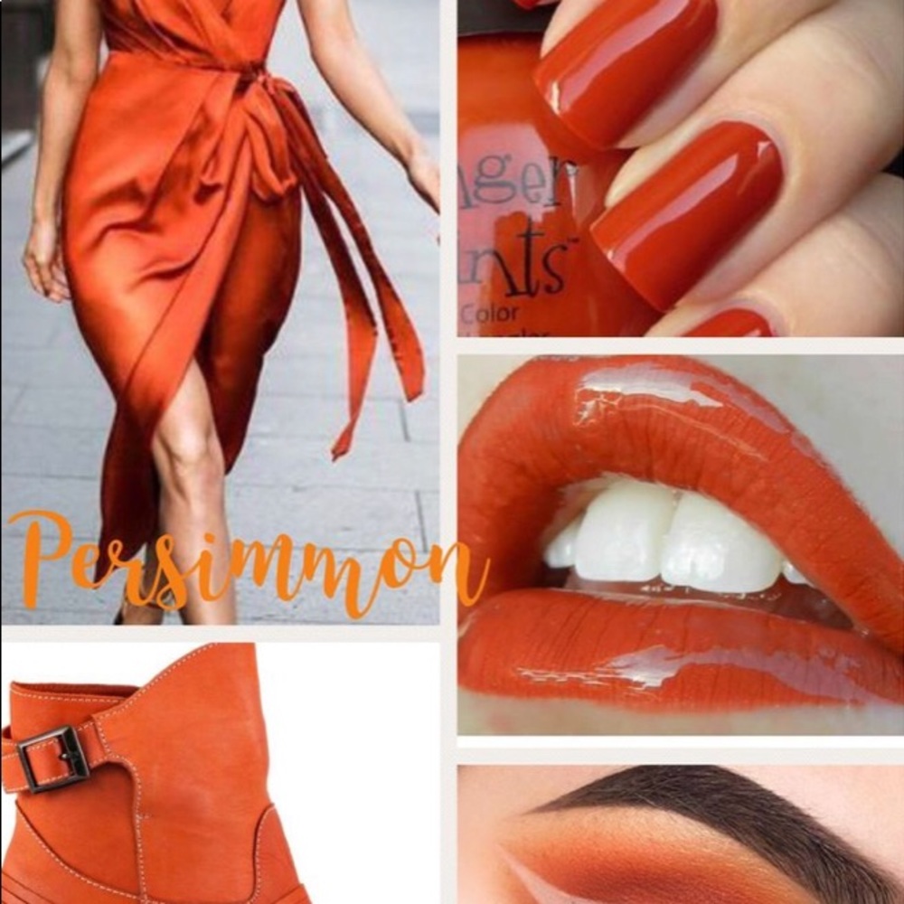 Persimmon LipSense Lipstick 💄 NWT